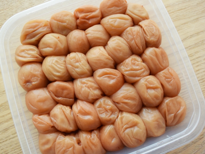 kotoji_umeboshi_004