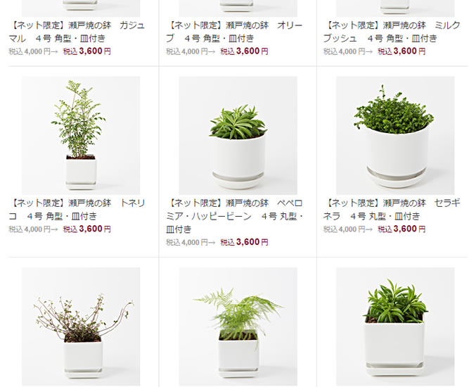 MUJI-POT_02