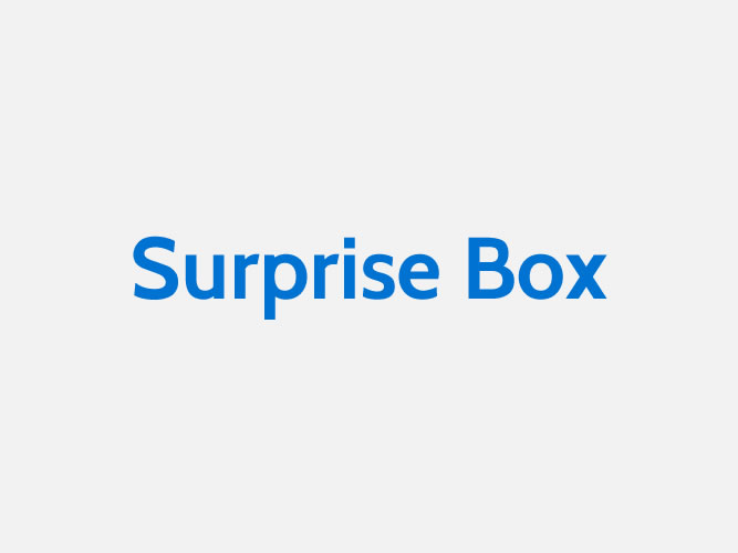 MoMA-STORE_Surprise Box