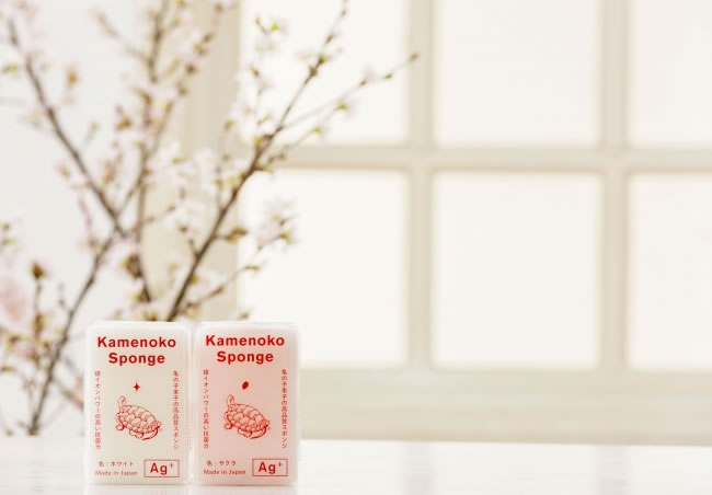 Kamenoko sponse_sakura_001