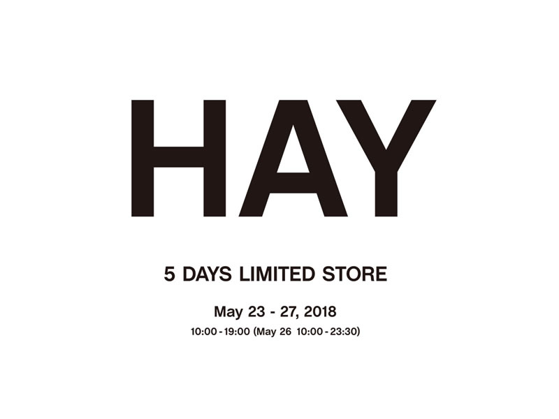 レアアイテムも…HAY 5 DAYS LIMITED STORE