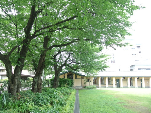 自由学園明日館の見学006