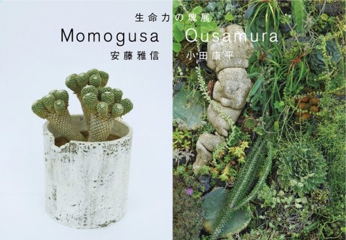 Momogusa x Qusamura